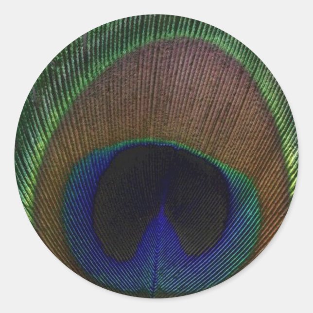 Pegatina Redonda Peacock Feather (Anverso)