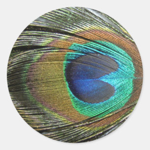 Pegatina Redonda Peacock Feathers