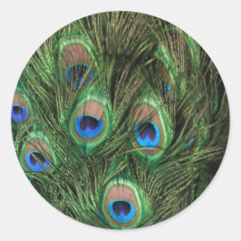 Pegatina Redonda Peacock Feathers
