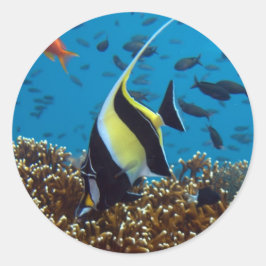 Pegatina Redonda Peces Animales acuáticos