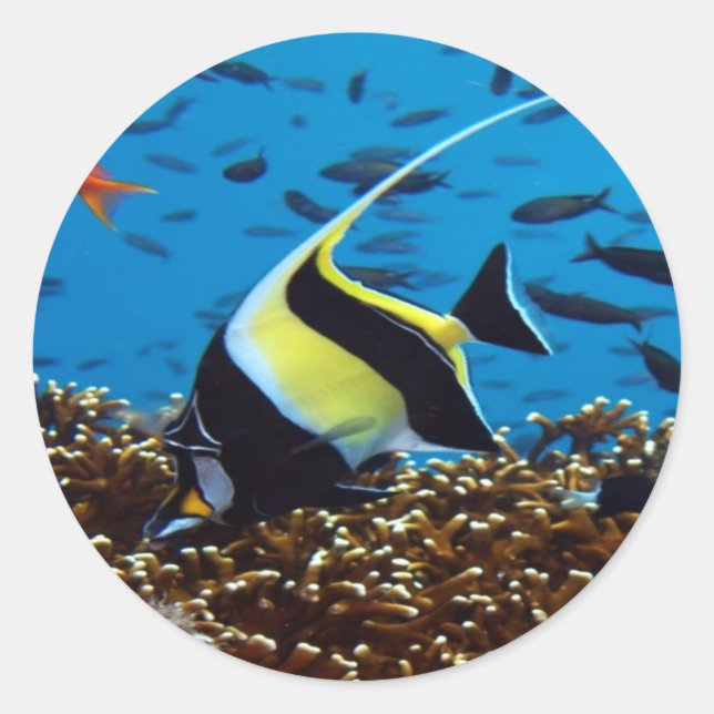 Pegatina Redonda Peces tropicales (Anverso)