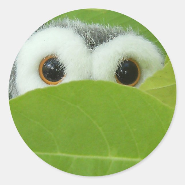 Pegatina Redonda Peek-A-Boo (Anverso)