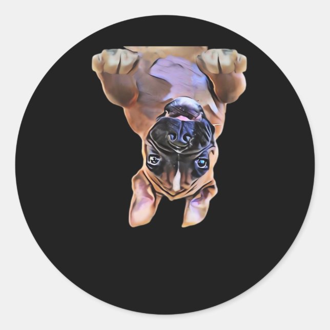 Pegatina Redonda Peekaboo Boxer (Anverso)