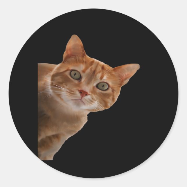 Pegatina Redonda Peekaboo - Pintura (Anverso)