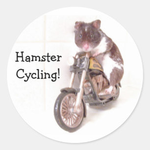 Pegatina Redonda ¡pegatina HamsterCycling!