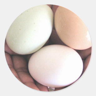 Pegatina Redonda Pegatina, huevos anidados en manos, arte fotográfi