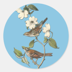 Pegatina Redonda Pegatinas Audubon White Throrow Bird