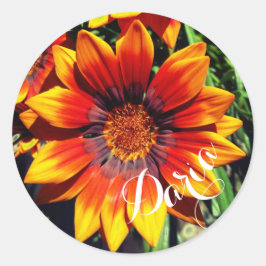 Pegatina Redonda Pegatinas conocidos de encargo del Gazania