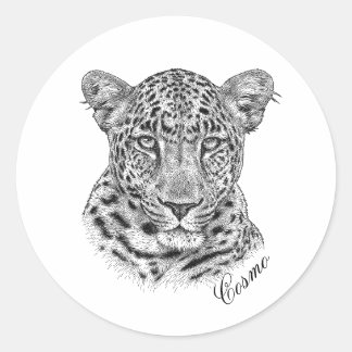 Pegatina Redonda Pegatinas - Cosmo