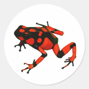 Pegatina Redonda Pegatinas DART FROG, PEGATINAS FROG