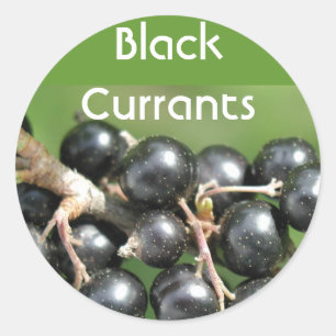 Pegatina Redonda Pegatinas de Black Currants