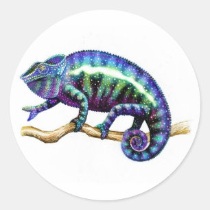 Pegatina Redonda Pegatinas de Blue Male Panther Chameleon