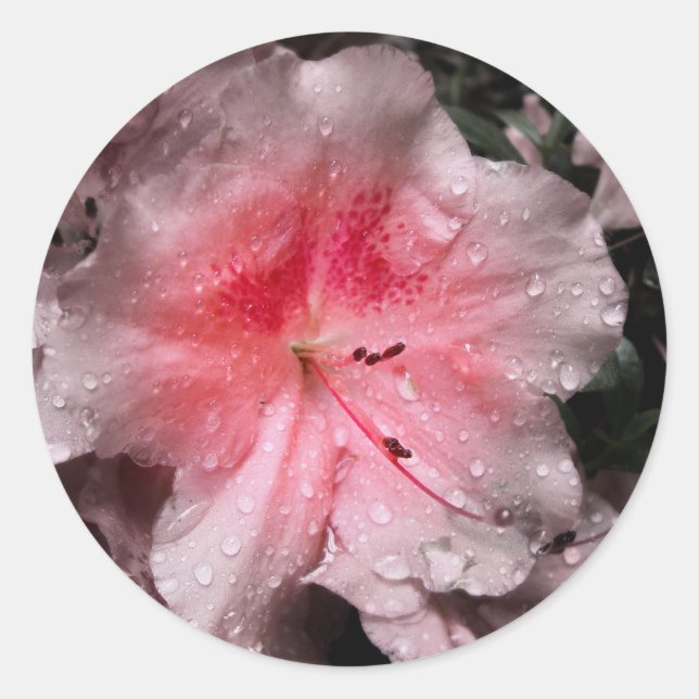 Pegatina Redonda Pegatinas de brillo interno (Anverso)