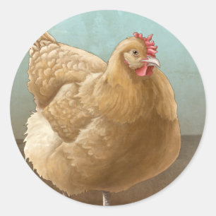 Pegatina Redonda Pegatinas de Buff Orpington Hen
