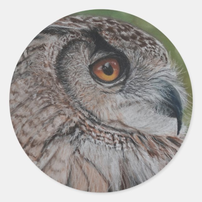 Pegatina Redonda Pegatinas de búho (Anverso)