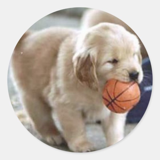 Pegatina Redonda Pegatinas de Cachorros (Anverso)