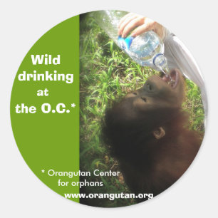 Pegatina Redonda Pegatinas de consumo de bebidas silvestres - versi