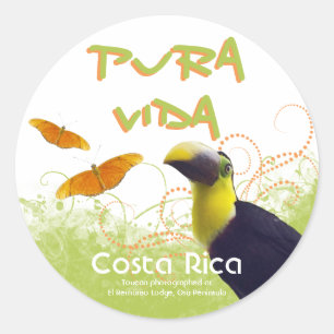 Pegatina Redonda Pegatinas de Costa Rica Pura Vida Toucan