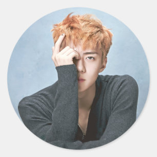 Pegatina Redonda PEGATINAS de EXO Sehun