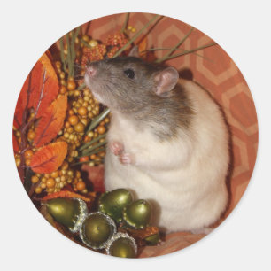 Pegatina Redonda Pegatinas de Fall Rat