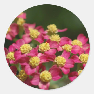Pegatina Redonda Pegatinas de flores pequeñas
