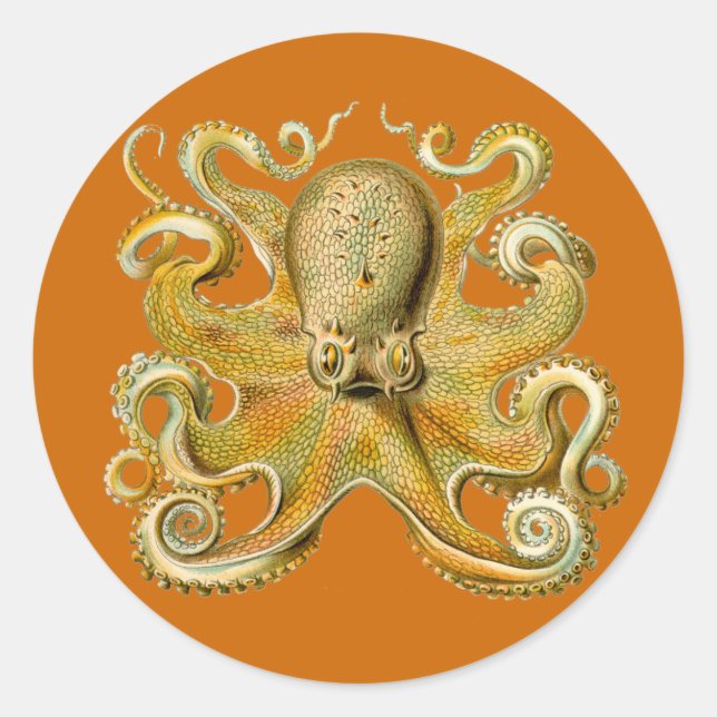 Pegatina Redonda Pegatinas de Gamochonia (Anverso)