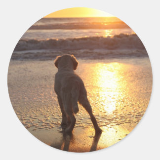 Pegatina Redonda Pegatinas de Golden Retriever