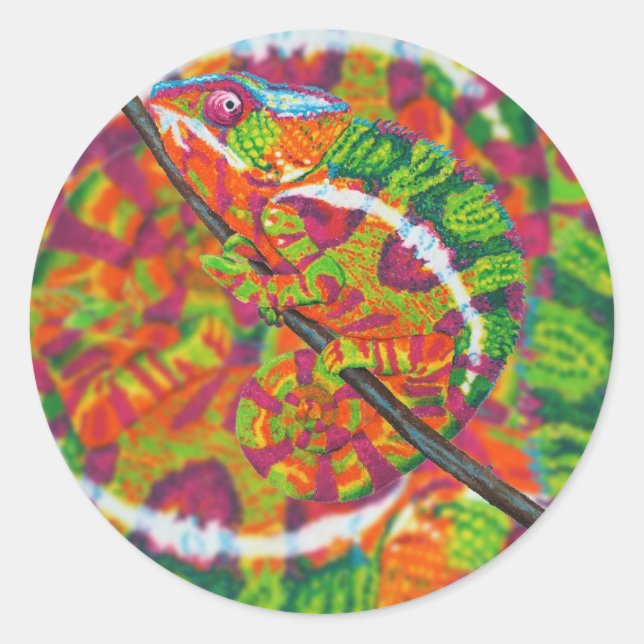 Pegatina Redonda Pegatinas de Hidden Chameleon (Anverso)