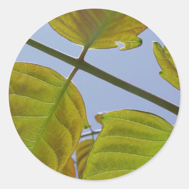 Pegatina Redonda Pegatinas de hoja (Anverso)
