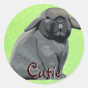 Pegatina Redonda Pegatinas de Holland Lop