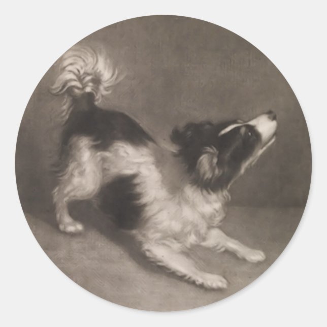 Pegatina Redonda Pegatinas de Jack Russel (Anverso)