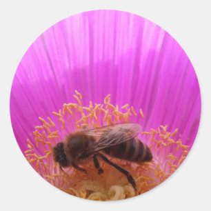 Pegatina Redonda Pegatinas de la flor de la abeja de la miel