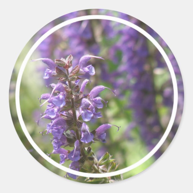 Pegatina Redonda Pegatinas de la flor de la lavanda (Anverso)