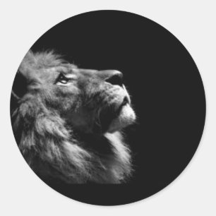 Pegatina Redonda Pegatinas de leones