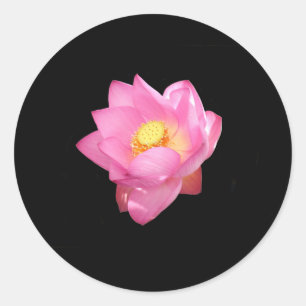 Pegatina Redonda Pegatinas de Lily del Agua