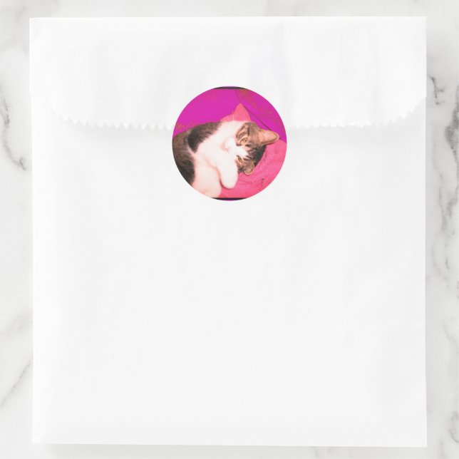 Pegatina Redonda Pegatinas de Lucy Kitty (Bolso)