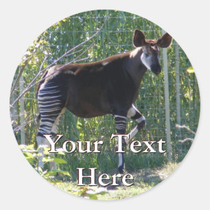 Pegatina Redonda Pegatinas de Okapi