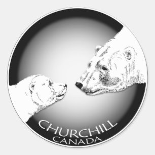 Pegatina Redonda Pegatinas de ositos polares Churchill Canadá Pegat