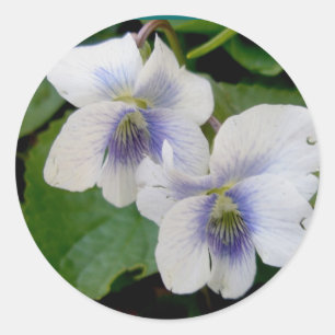 Pegatina Redonda Pegatinas de parejas violetas blancas