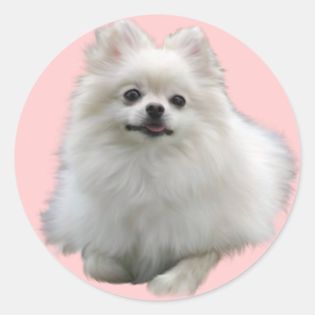 Pegatina Redonda Pegatinas de perro Lrg (Anverso)