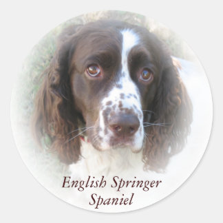 Pegatina Redonda Pegatinas de perro personalizado English Springer