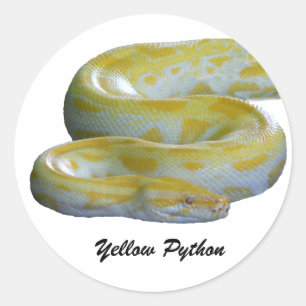Pegatina Redonda Pegatinas de Python Amarillo