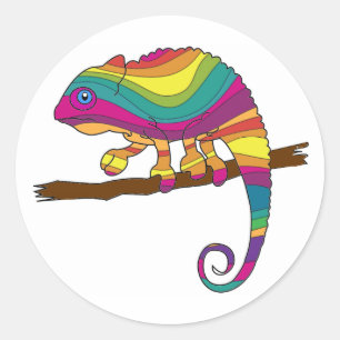 Pegatina Redonda Pegatinas de Rainbow Chameleon