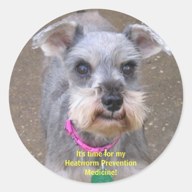 Pegatina Redonda Pegatinas de recordatorio de medicamentos para par (Anverso)