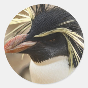 Pegatina Redonda Pegatinas de Rockhopper Penguin