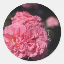 Pegatinas de rosas rosadas