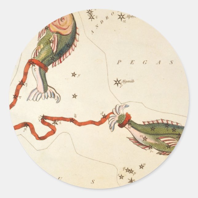 Pegatina Redonda pegatinas de "Rótulo Zodiaco" (Anverso)