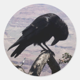 Pegatina Redonda Pegatinas de Sad Raven 01