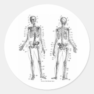 Pegatina Redonda Pegatinas de Skeleton