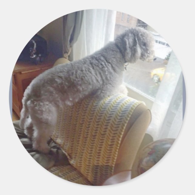 Pegatina Redonda ¡Pegatinas de Smokey! (Anverso)